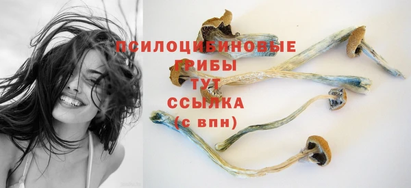 амф Балахна