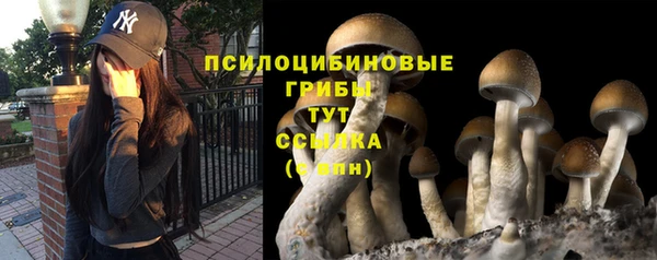 прущая мука Баксан