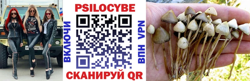 Галлюциногенные грибы ЛСД Теберда
